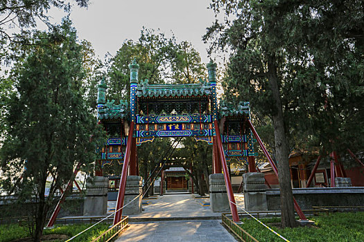 soi cầu 99
