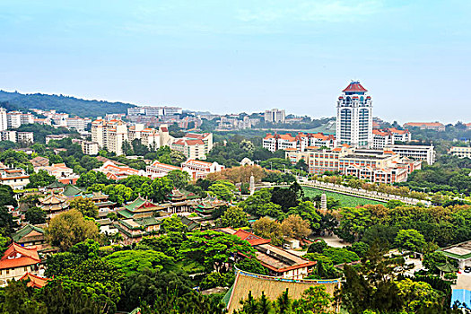 bạch thu lo mb