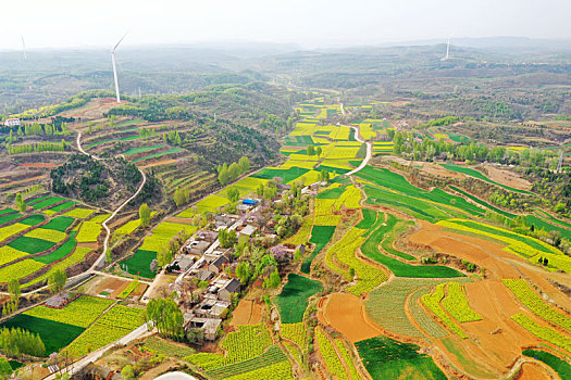 xs vung tau