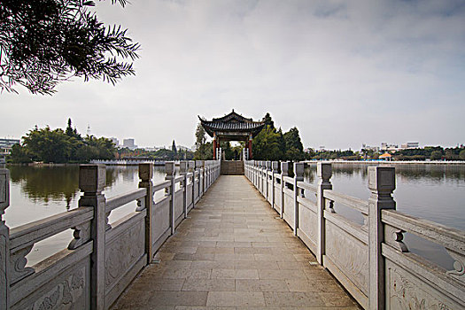 soi cau bach thu binh dinh