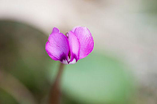 trưc tiêp xsmb
