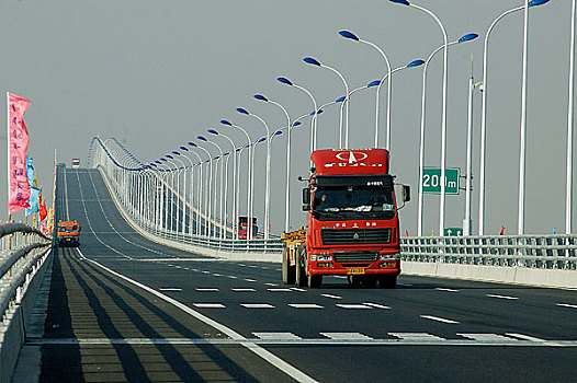 rong bạch kim